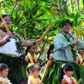 Reviving Hawaiian Culture Through Media: A Journey of Language and Culture