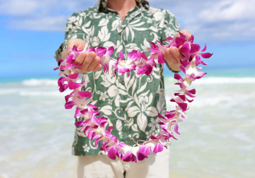 Creating an Engaging Layout for a Hawaiian Culture Blog